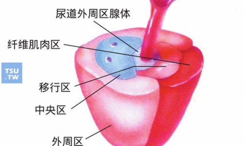 太极通天液副作用大不大-太极通天液副作用-专业太极通天口服液多少钱一盒平台-太极通天口服液效果好吗